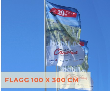 Flagg 100 x 300 cm - 6-pakning
